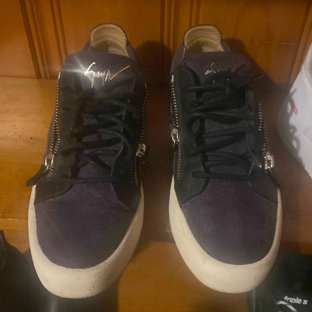 Giuseppe Zanotti
